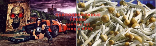 МДПВ Алексин
