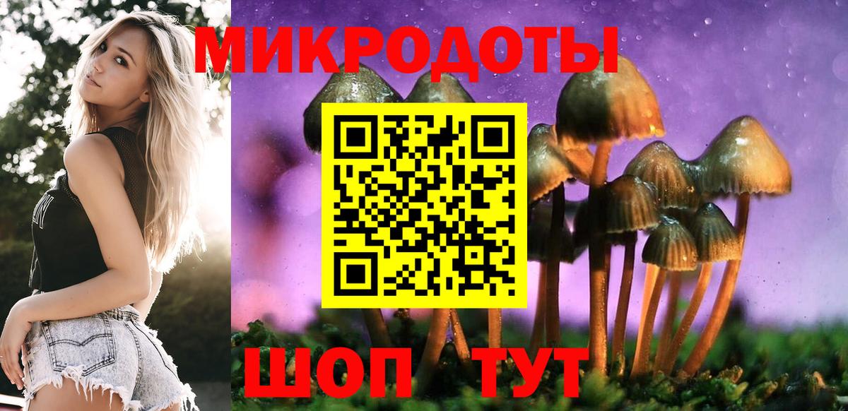Псилоцибиновые грибы Psilocybe  Вход с VPN  Галлюциногенные грибы Psilocybe  Находка 