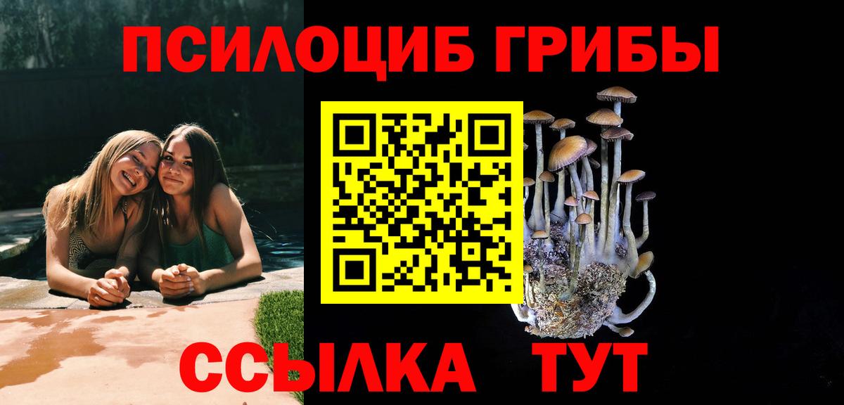 Псилоцибиновые грибы MAGIC MUSHROOMS Находка